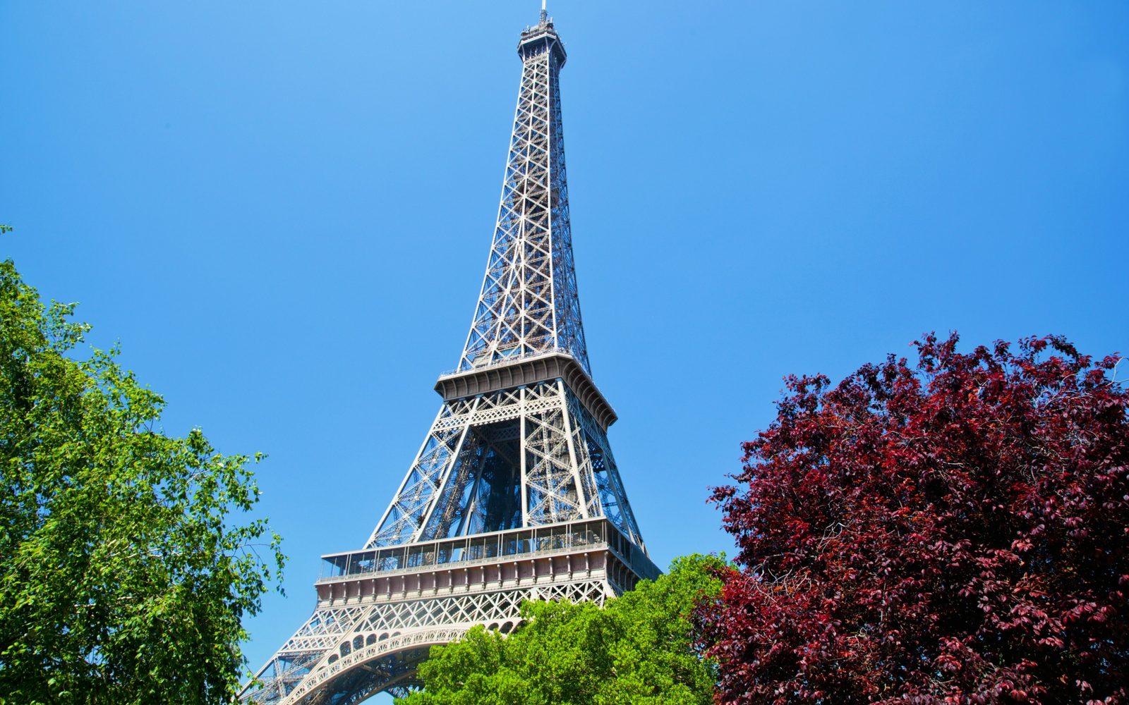 The Eiffel Tower in Paris, framed by trees
